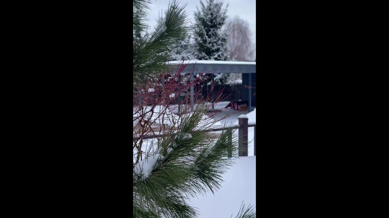 Автонавес на три автомобиля с хозблоком от Garden Cube смотреть онлайн