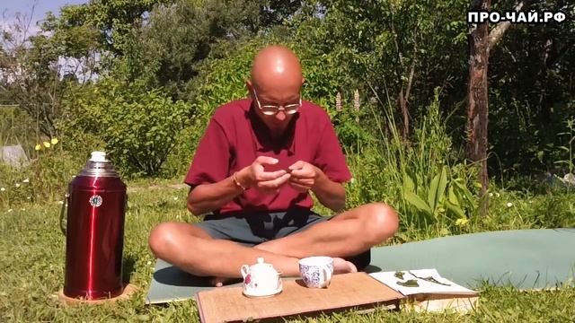 Что такое ферментация?