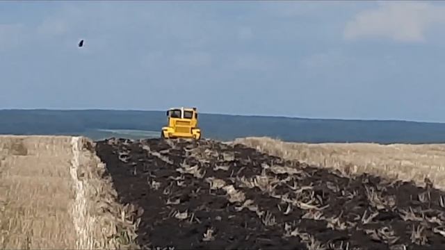 Вспашка паров, трактор кировец К-700А 17 июня 2023 г. смотреть онлайн