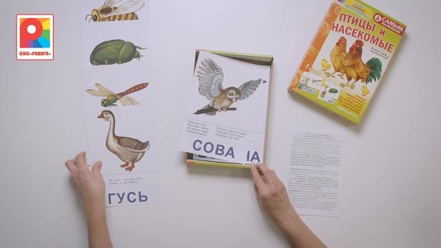 Самым маленьким Птицы и насекомые. Игра., С-972