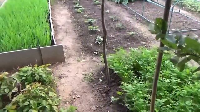 Моя дача в сентябре 2016г. смотреть онлайн