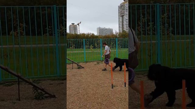 Площадка 09.2019