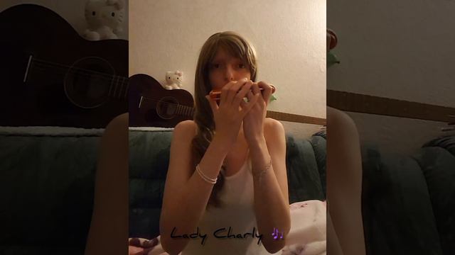 Was wird sein ☆ Hohner Echo Elite ☆ Harmonica смотреть онлайн