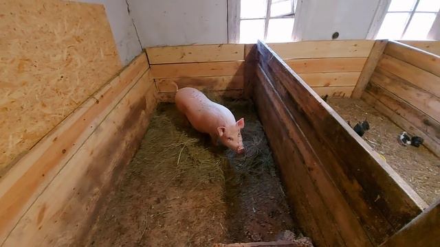 расстроился! смотреть онлайн