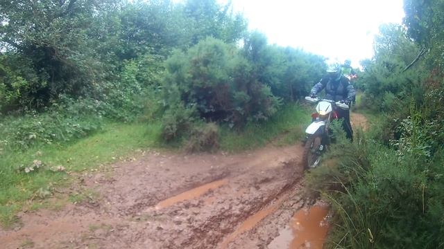 Tricky Trails For Beginners