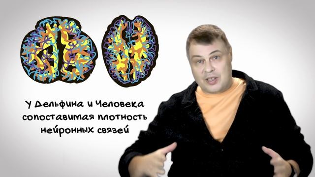 04 || Необыкновенные способности дельфинов - 15 главных фактов смотреть онлайн
