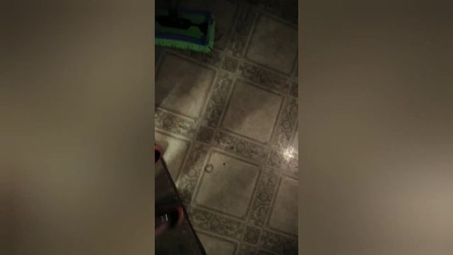 Самый честный отзыв и обзор о швабре Greenway Aquamatic Mop смотреть онлайн