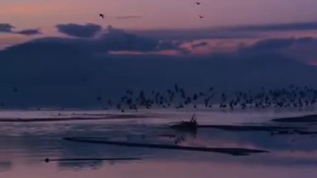 все нужно пережить на этом свете смотреть онлайн