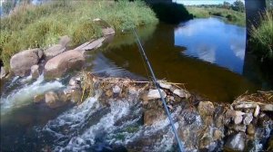 Рыбалка в Лен .обл . на р. Лемовжа . ловим на спиннинг .