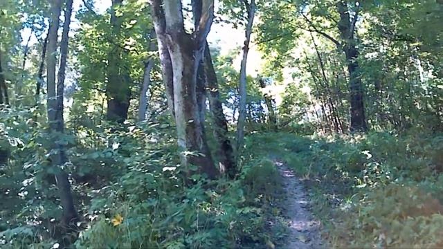 Усадьба Дунин-Борковских в Новой Романовке смотреть онлайн