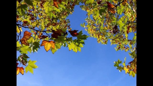 Canon M50 mark II with Canon 22mm f/2 смотреть онлайн