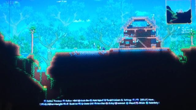how to measure builds in terraria смотреть онлайн