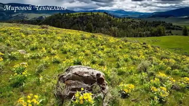 КРАЙОН. Действия Божественных программ в нашем ДНК! смотреть онлайн