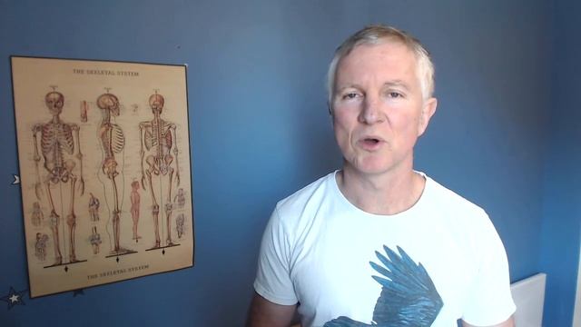 How to schedule a consultation смотреть онлайн