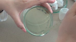 Определение чувствительности микроорганизмов к антибактериальным препаратам