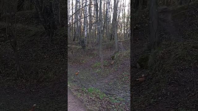 битцевский парк смотреть онлайн