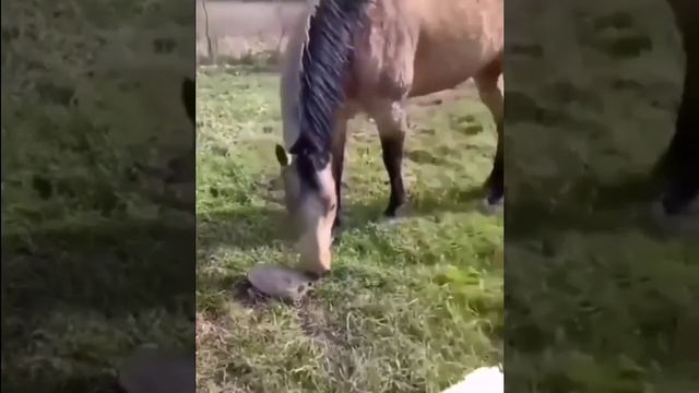 Оно шевелится смотреть онлайн