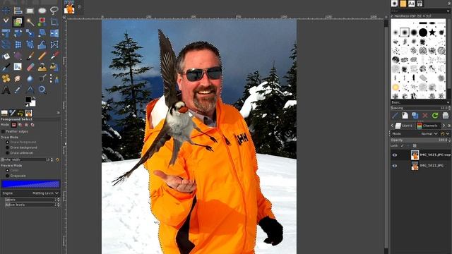 Gimp 2.10 Foreground select tool смотреть онлайн