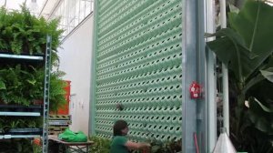 Процесс создания зеленой стены