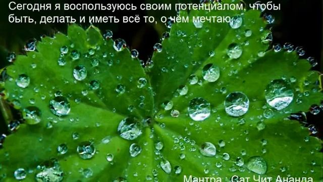 День 5 МАРАФОН ИЗОБИЛИЯ ЧОПРА смотреть онлайн