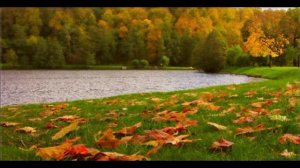 Я с вами прощаюсь