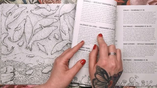 Fragile World by Kerby Rosanes | Book Review смотреть онлайн