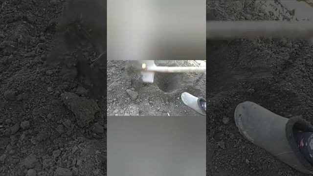 Передвижная клумба с гладиолусами. 2часть. Сажаю гладиолусы в открытый грунт. смотреть онлайн