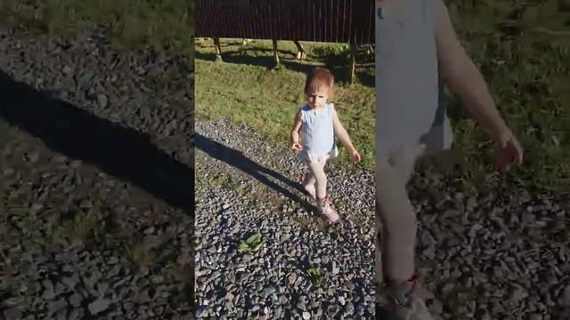 Как мы гуляем на даче .Крутое поле смотреть онлайн