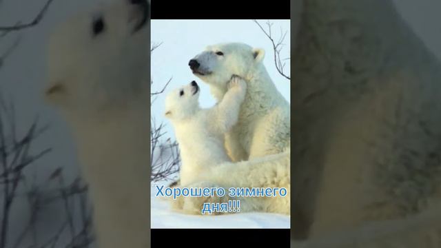 Хорошего зимнего дня!!!
