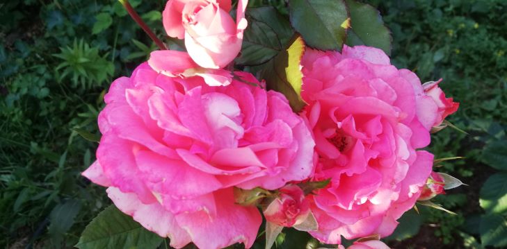 С ПРАЗДНИКОМ 8 МАРТА, МИЛЫЕ ЖЕНЩИНЫ! смотреть онлайн