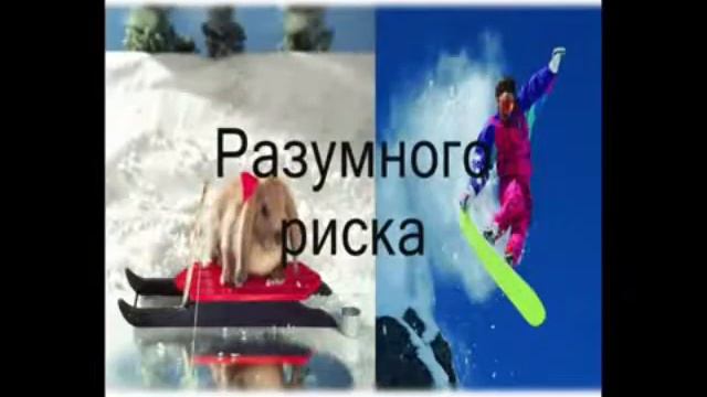 ООО ТК Фиорд 2018 смотреть онлайн
