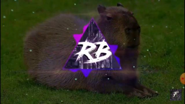 песня капибара смотреть онлайн