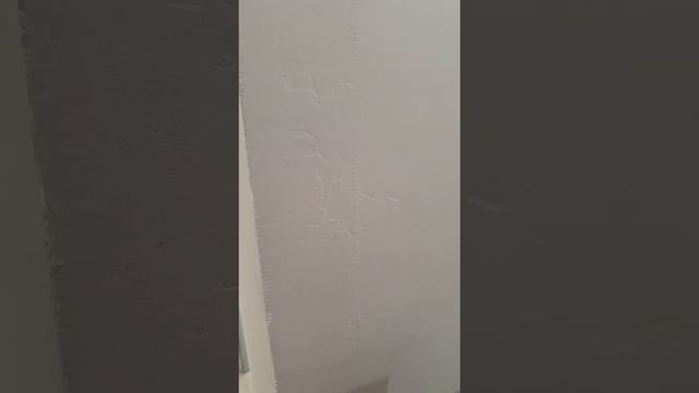 Как шкурить стены после шпаклевки? #shorts смотреть онлайн