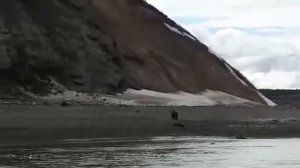 Медведь напал на мужика . Порвал лодку.