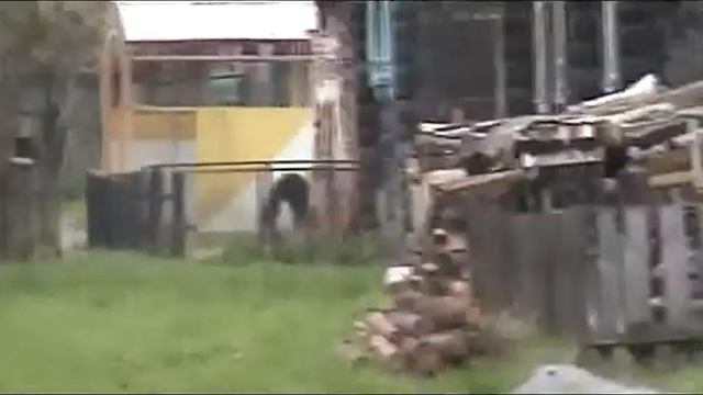 shurgovash смотреть онлайн