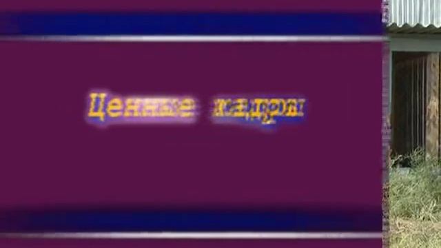 Заповедный маршрут к уникальным местам