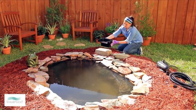 How to Add a Small Waterfall to Your Pond смотреть онлайн