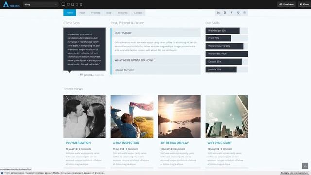 RILEY - Responsive MultiPurpose Drupal Theme смотреть онлайн