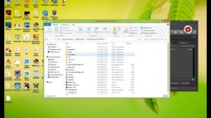 Как убрать зелёного жука в STALKER