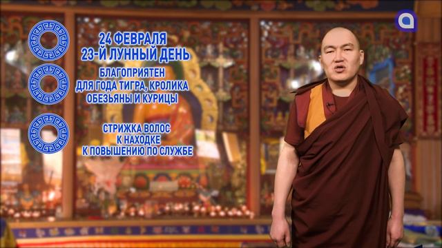 ХОРОШИЙ ДЕНЬ, ЧТОБЫ СХОДИТЬ В ПРИЮТ ДЛЯ ЖИВОТНЫХ смотреть онлайн