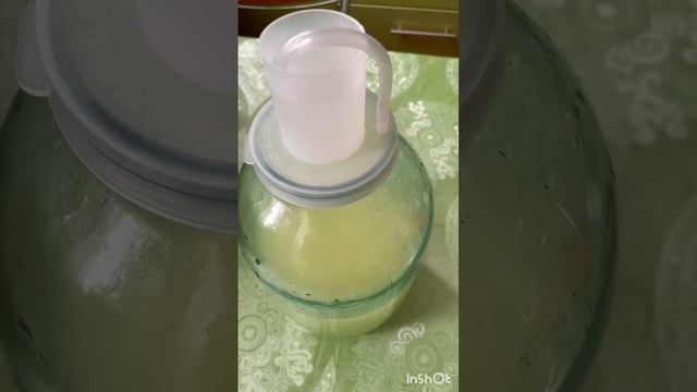 Шотландское вино Blaand из сыворотки смотреть онлайн