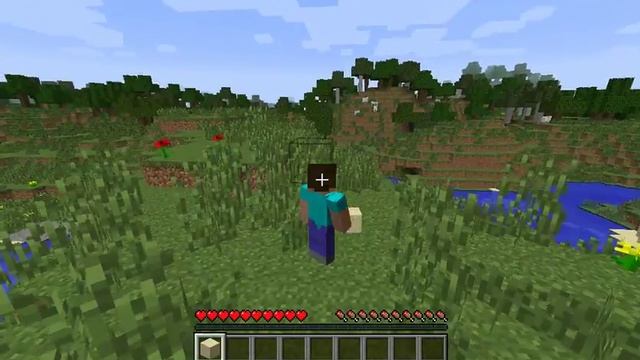 Как сделать вид от 3 лица в майнкрафт смотреть онлайн