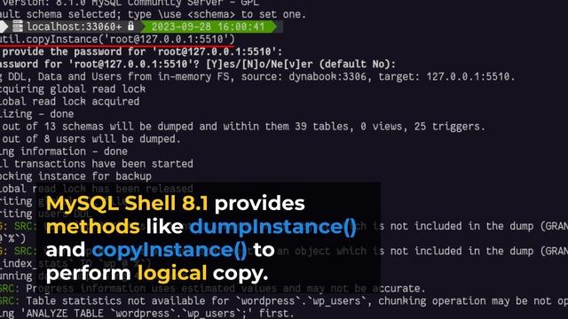 How to copy a MySQL instance ? смотреть онлайн