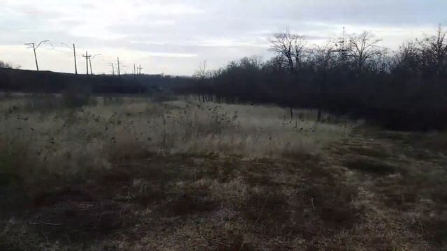 Метис Алабая и Немецкой овчарки . смотреть онлайн