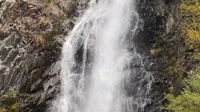 Наша Каринтия . СБОР ГРИБОВ . Прогулка в наших местах . смотреть онлайн