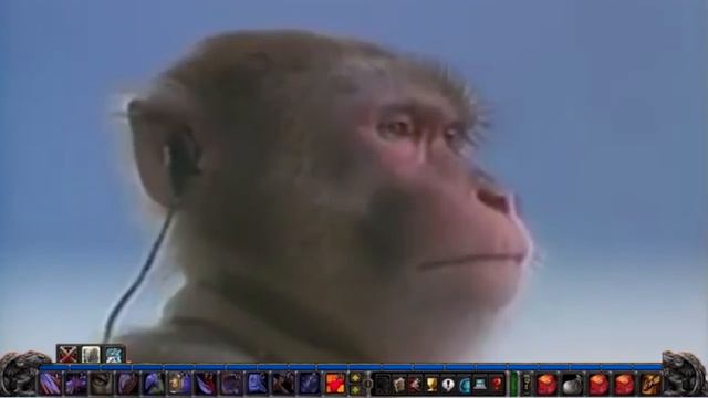 Vibing in Booty Bay at 3 am смотреть онлайн