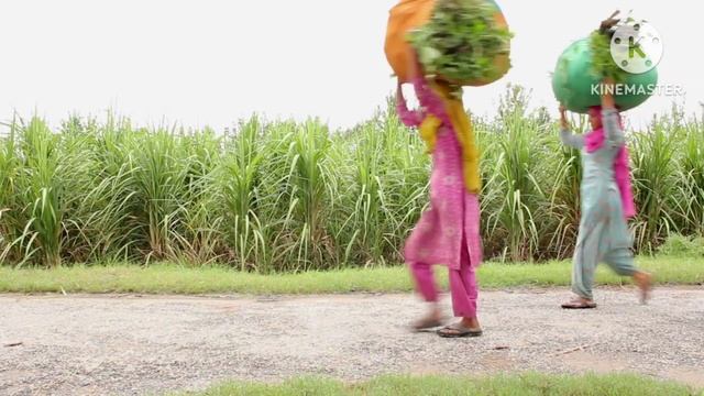 Ирина Хинди Лайф. Вернулась домой