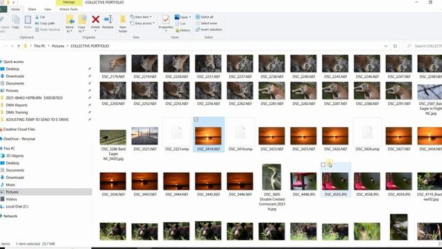 Adobe Photoshop Generative Fill Test смотреть онлайн