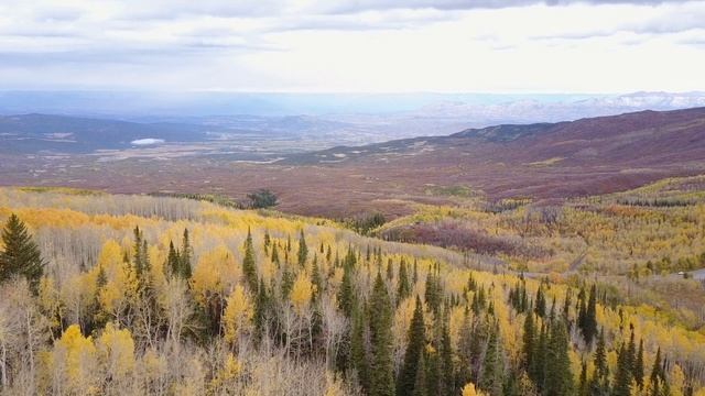 Beautiful Relaxing Music - Piano Soft Music. Relaxing Piano Music.