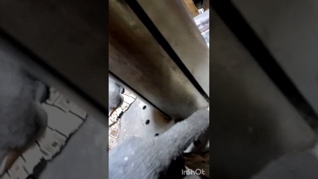 почему не качает вакуумный насос смотреть онлайн